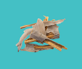 Shark Tail Dehydrated Dog Treats